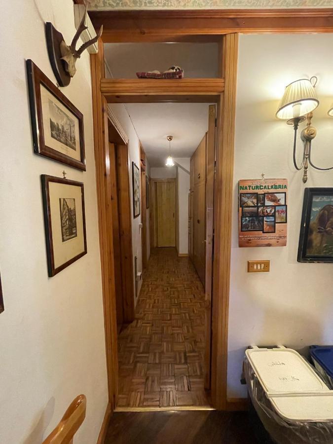 La Veranda Nella Neve - Camigliatello Silano Bagian luar foto