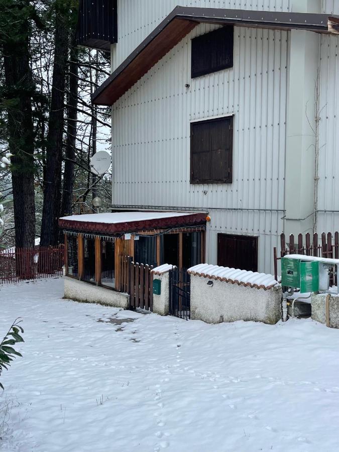 La Veranda Nella Neve - Camigliatello Silano Bagian luar foto