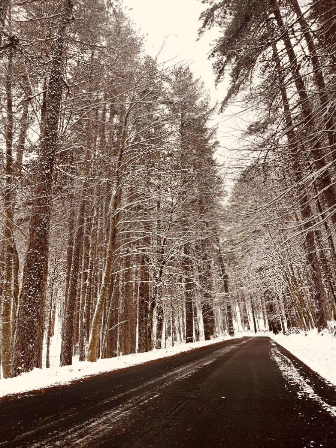 La Veranda Nella Neve - Camigliatello Silano Bagian luar foto